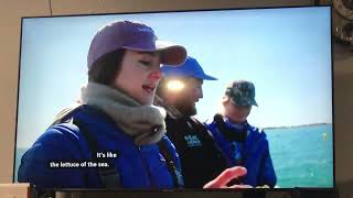 PBS Science Sizzle (2026-2027)
