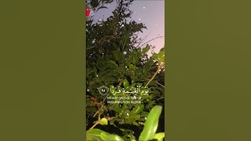 قران كريم لأ تهرب بلأ أسمع #يارب