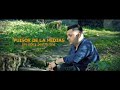 Puisor de la Medias ❌ Din iubire pentru tine ( oficial video ) hit