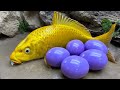 Koi fish Eggs - Stop Motion ASMR Cooking Mud House Gold fish come out Primitive Technology | Cuckoo