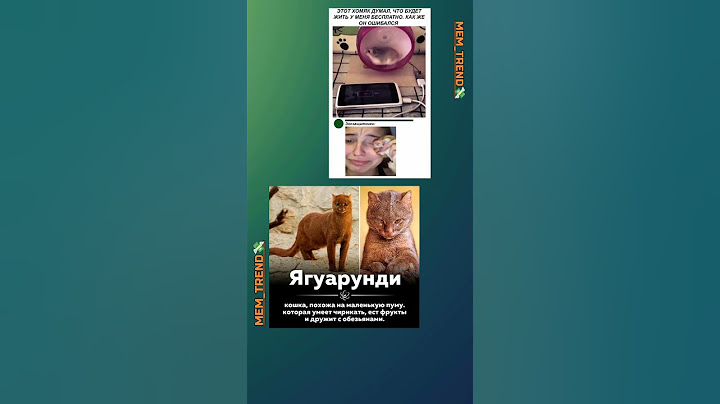 Хомяк думал, что бесплатно будет жить 😂Новый Вид животного Ягуара -Ягуарунди 😂😱
