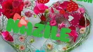 Nazi̇lə Ad Günün Mübarək Olsun