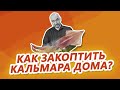 Рецепт закуски к пиву: копченые кальмары. Лайфхак: как сварить кальмары правильно?