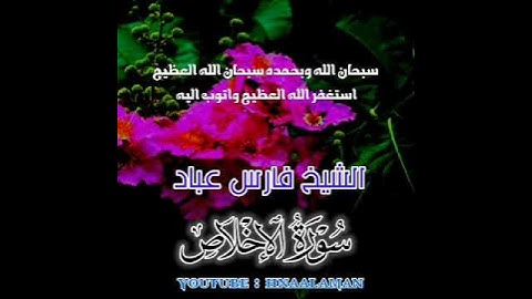 سورة الإخلاص | الشيخ فارس عباد، استغفر الله العظيم واتوب اليه ❤️❤️(3)