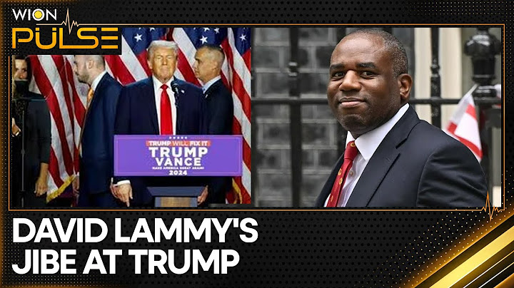 David Lammy's 'Neo-Nazi' Jibe at Donald Trump Returns to Haunt Him | WION Pulse