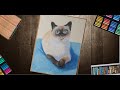 Кот пастелью поэтапно - рисуем и учимся