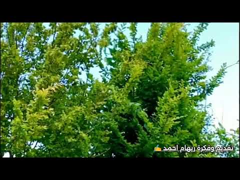 لن أعاتبك يوما لأنني لم أعد أراك كما كنت