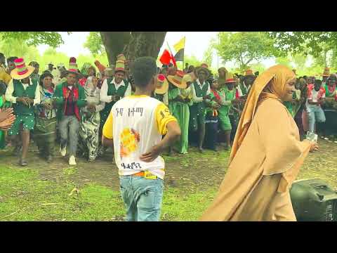 Traditional Halaba Dance Performances