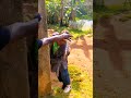 SIDE KAMA SIDE Short Comedy Funny 1millionviewers Diamondplatnumz