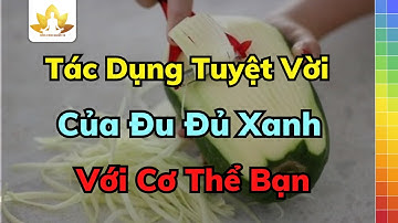 Tác Dụng Tuyệt Vời Của Đu Đủ Xanh Với Cơ Thể Bạn