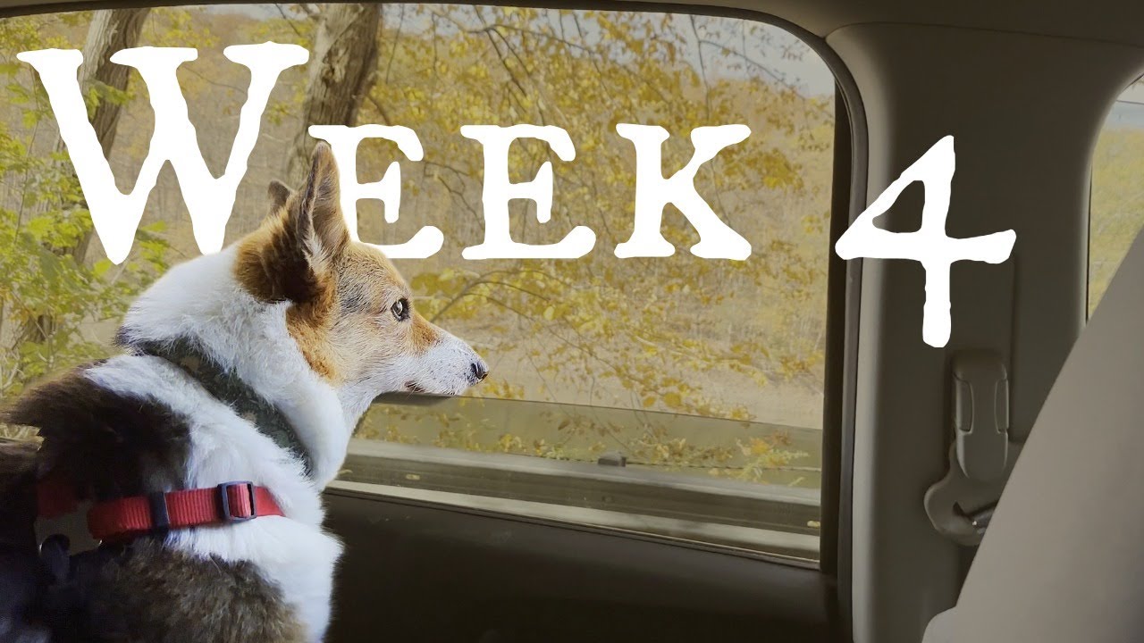 Change My Life | Week 4 - YouTube