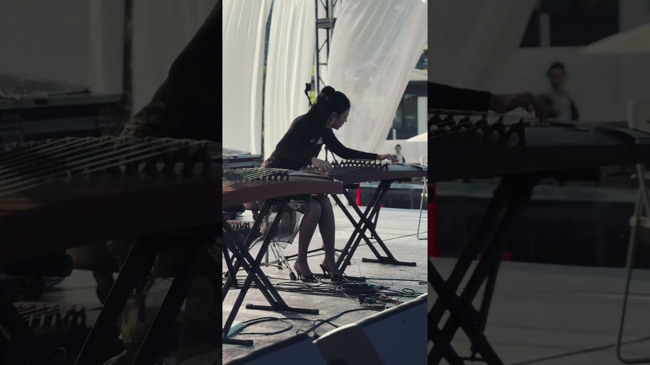 Chinese zheng     zither   cool performance