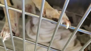 acs A678576