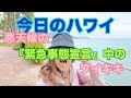 【今日のハワイ】Hawaii Today 悪天候の警報の出ているワイキキはこんな感じ！#ハワイ 2026年2月8日