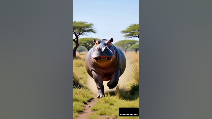 #hippo #dinosaur #shortvideo #cat #hippopotamus #cats #horse #horseriding