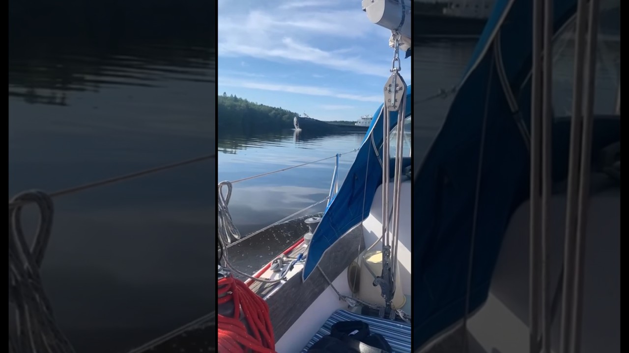 Архив перегона яхты из Онеги в Москву. Река Свирь. 