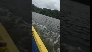 Surinaamse binnenland Surinaamse binnenland