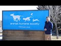 Animal Humane Society - Woodbury, MN