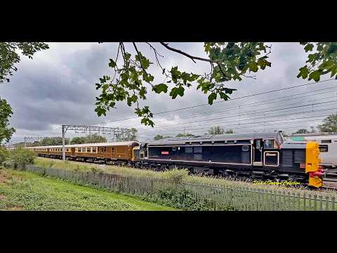 Royal Windsor Statesman 18 June 2026 passing Bradwell.