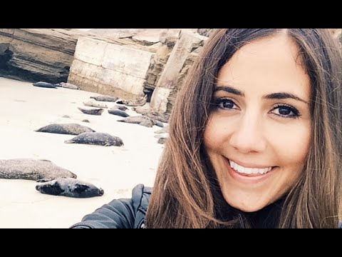 Best Beaches in San Diego, California hqdefault