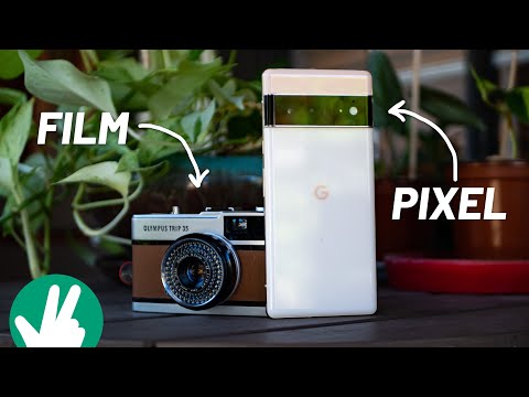 Pixel vs Film: Why I stick with the Pixel 6 Pro