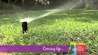 Your Edmond: May 2012