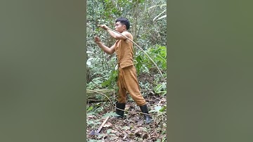 make a trap for catching the jungle civet