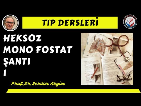 Video: Pentozafosfat shuntining oksidlanmagan fazasining maqsadi nima?