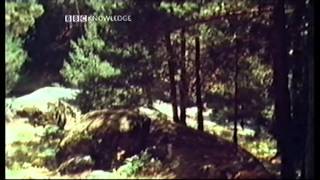 Culture Fix, Peter Curran on war poetry, part of a BBC Knowledge Documentary, 2000