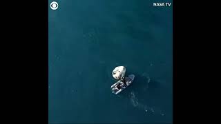 #Dolphins spotted swimming near #SpaceX Crew Dragon Capsule after splashdown