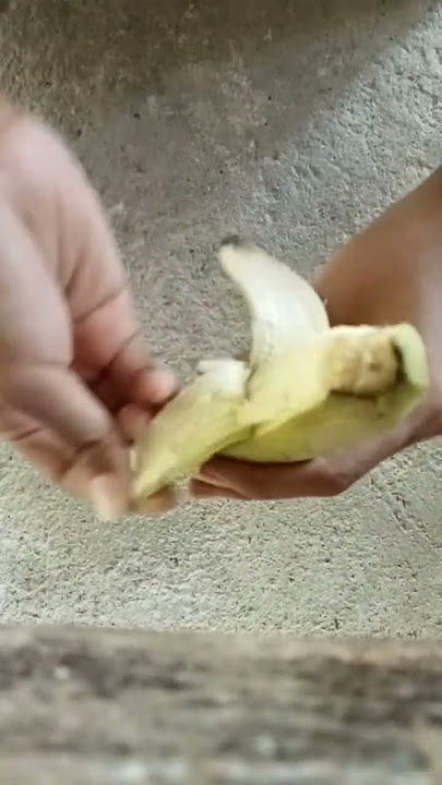 Ide Cerdas Sederhana Teknik Mengupas Pisang Ambon Dengan Sangat Mudah Dan Simpel #shorts