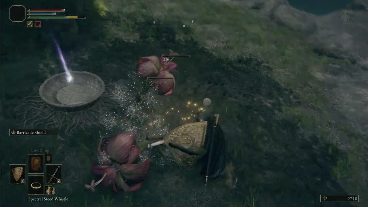 Elden Ring Weeping Peninsula Kill Poison Flowers and Take Faith Knot