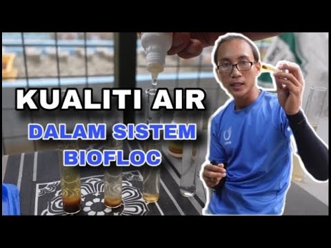 EP10 : UJIAN KUALITI AIR DALAM SISTEM BIOFLOC - YouTube