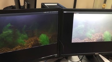 Seeing through the fog Real-time image dehazing