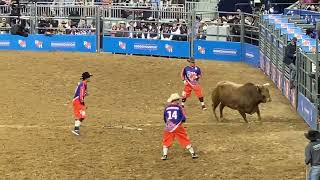 Bull Riding Is Dangerous Without A Helmet