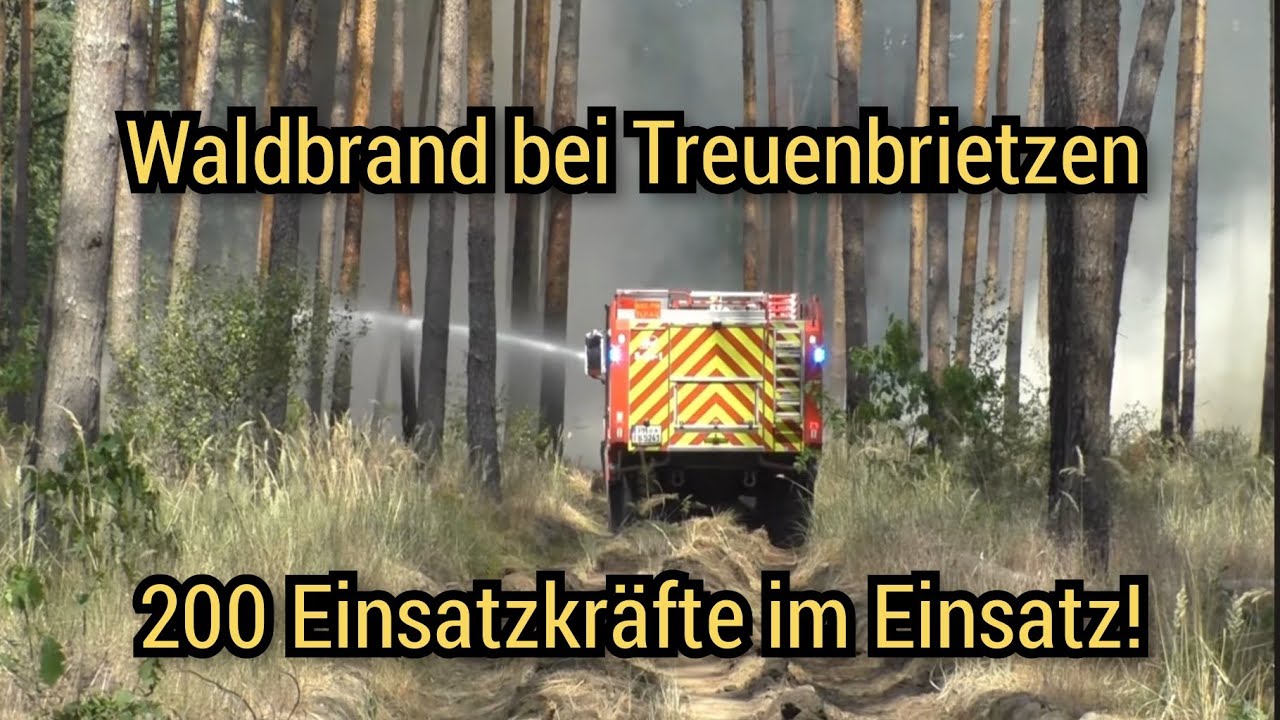 🔥Großer Waldbrand bei Treuenbrietzen - Winde erschweren Löscharbeiten am 01.07.2025 - Großeinsatz
