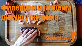 видео Как вкусно приготовить дикую утку: кулинарные советы и рецепты