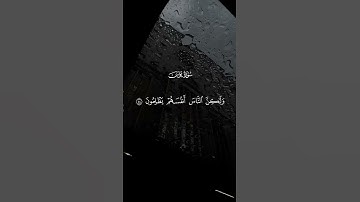 جزء من سورة يونس #قران #المصحف #راحة