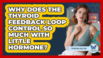 Why Does The Thyroid Feedback Loop Control So Much With Little Hormone? - Thyroid Wellness Hub