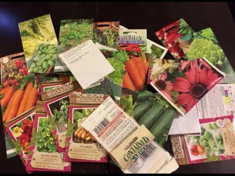 How to Choose the Best Seeds for your Garden: Understanding Seed Catalogs