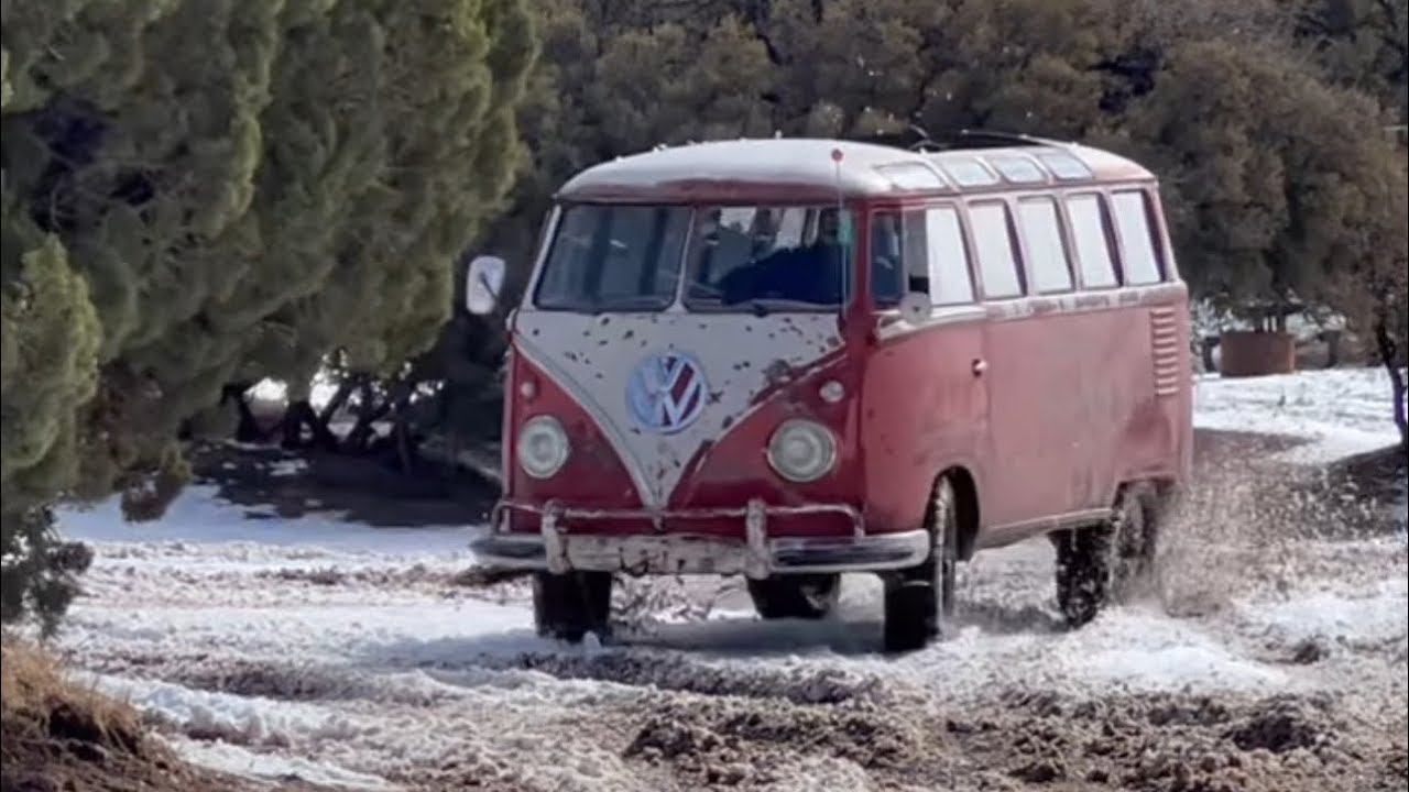 23-Window VW Bus: The Collectible Gem -  Motors Blog