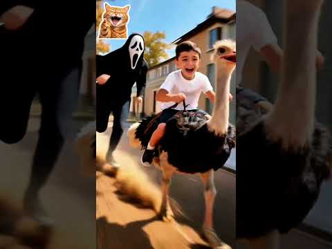 الو شرطة حرامي عنا       