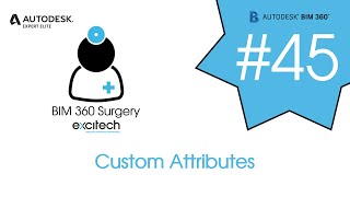 BIM 360 Surgery #45 - Custom Attributes