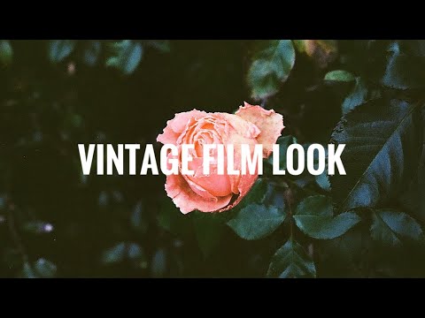 The Best 35mm Films for the “Vintage” look