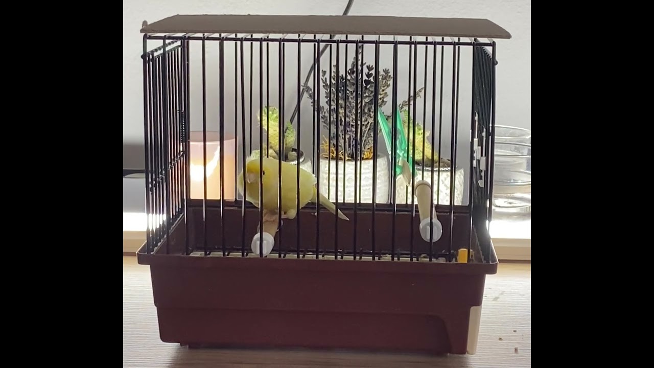 M.Souddi X G.Janssens_Bileziksiz_2024