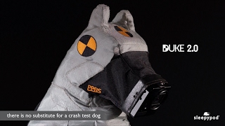 DUKE 2.0  a crash test dog that records accurate, verifiable data  #safetravels