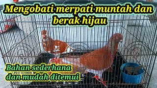 HOW TO TREAT PIGEONS THAT VOMIT AND HAVE GREEN DIARRHEA