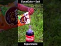 Amazing CocaCola &amp; Salt Experiment