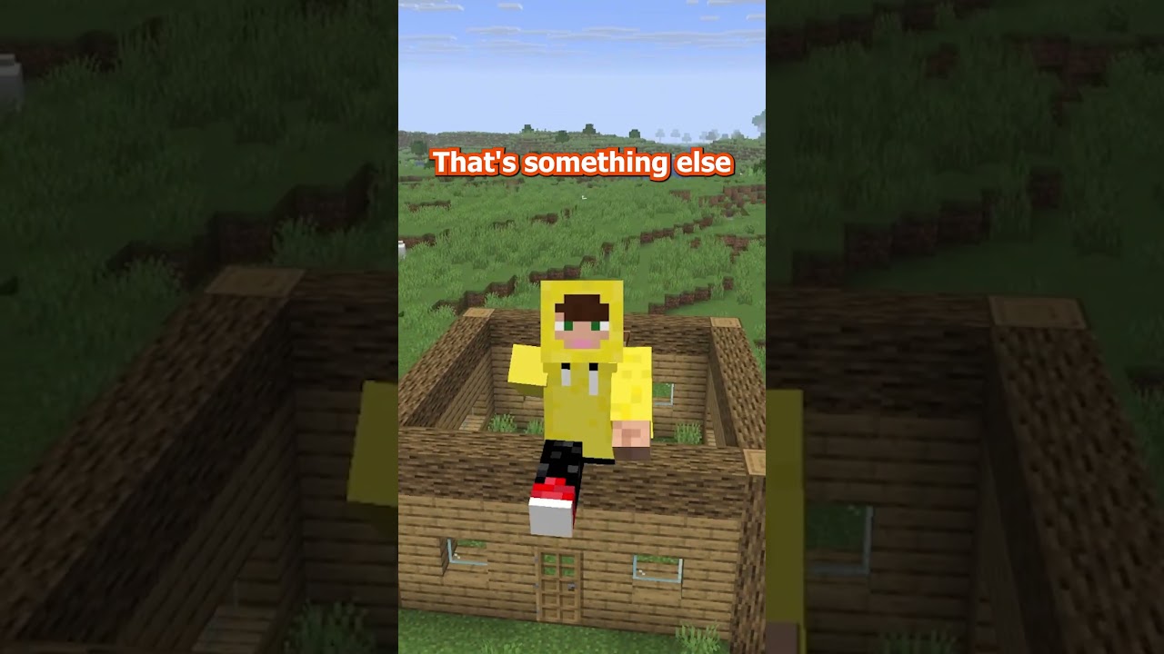 there are too many minecraft larpers nowadays...  #minecraft