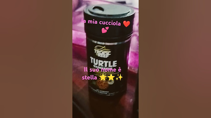 l'ho adottata oggi🥹